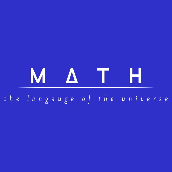 Math The Language Of The Universe Hoodie
