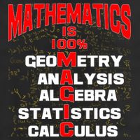 Mathematics Is 100 Percent Magic  Trucker Hat