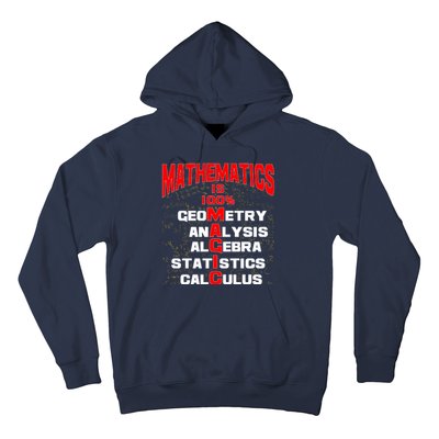 Mathematics Is 100 Percent Magic  Hoodie