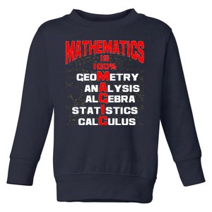 Mathematics Is 100 Percent Magic  Toddler Sweatshirt