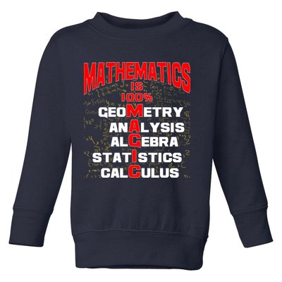 Mathematics Is 100 Percent Magic  Toddler Sweatshirt