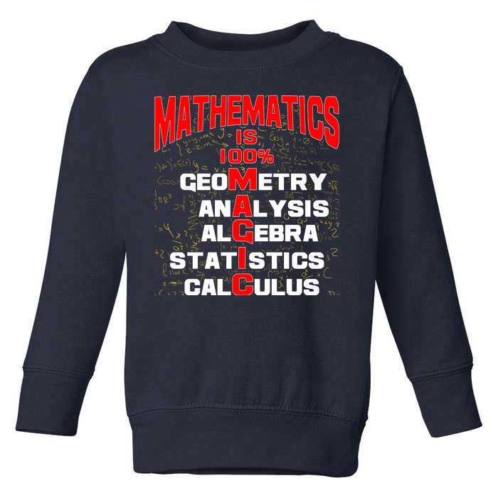 Mathematics Is 100 Percent Magic  Toddler Sweatshirt