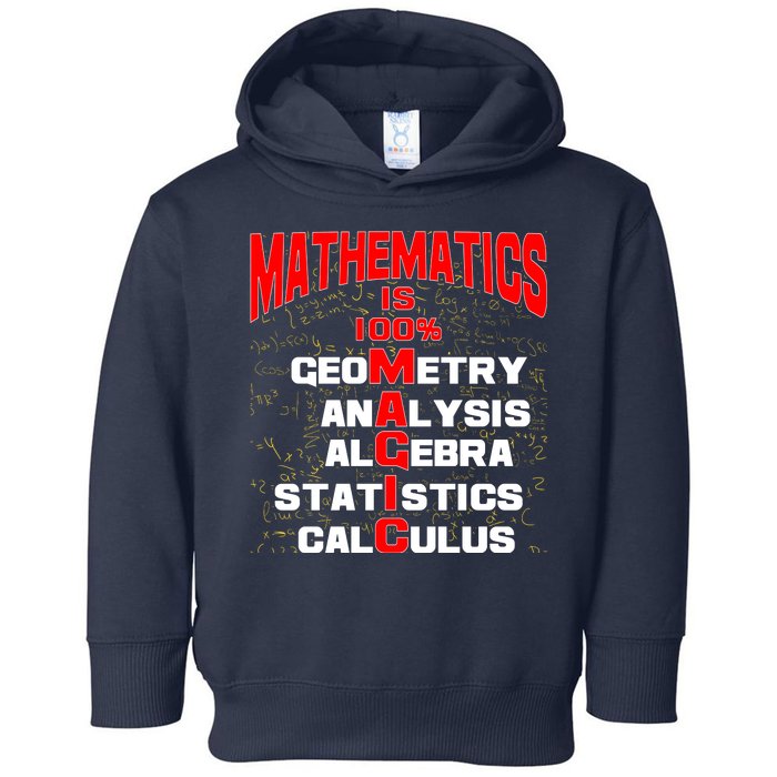 Mathematics Is 100 Percent Magic  Toddler Hoodie