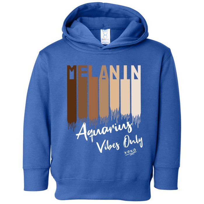 Melanin Aquarius Vibes Only Zodiac Sign For Black Gift Toddler Hoodie