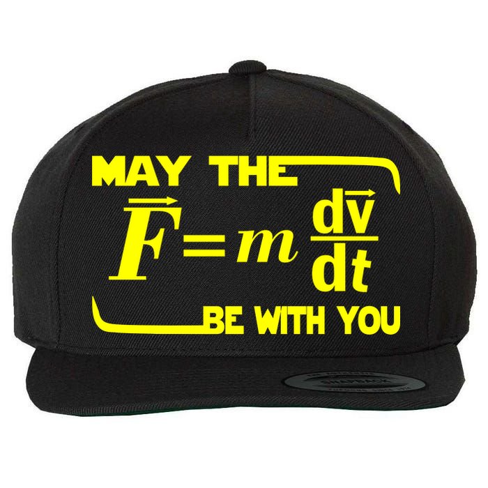 May The (F=mdv/dt) Be With You Physics Wool Snapback Cap