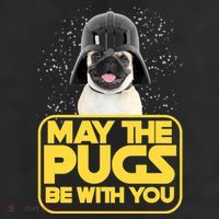 May The Pugs Be With You 11oz C Handle Ceramic Mug