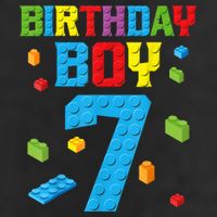 Master Builder 7th Birthday Boy 7 Seven Year Building Bricks Funny Gift Garment-Dyed Heavyweight T-Shirt