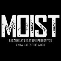 Moist Because At Least One Person You Know Hates This Word Premium T-Shirt