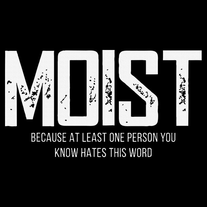 Moist Because At Least One Person You Know Hates This Word Premium T-Shirt