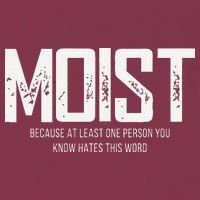 Moist Because At Least One Person You Know Hates This Word 16oz Travel Tumbler