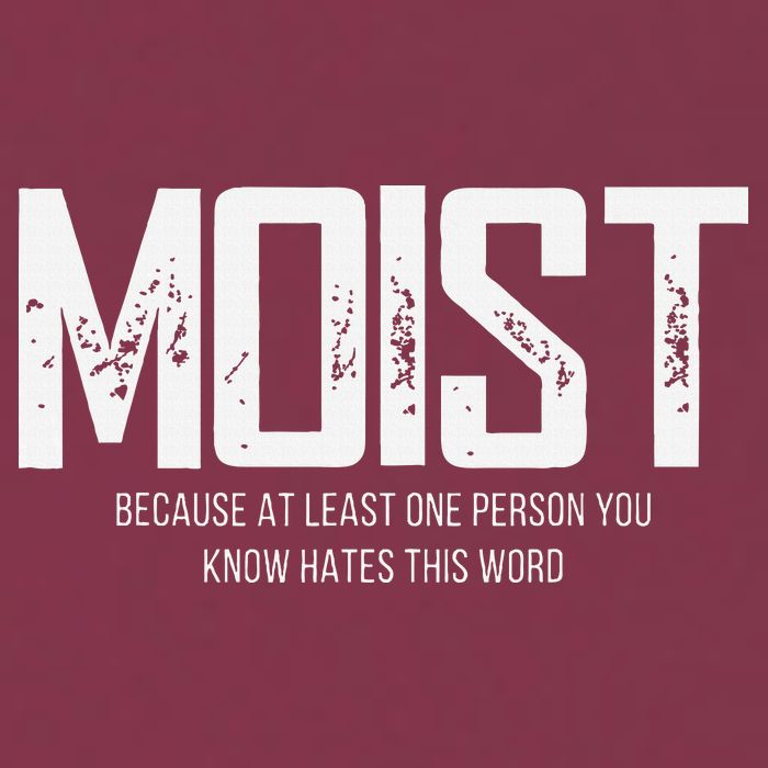 Moist Because At Least One Person You Know Hates This Word 16oz Travel Tumbler