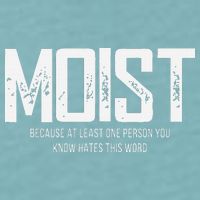 Moist Because At Least One Person You Know Hates This Word Sueded Cloud Jersey T-Shirt