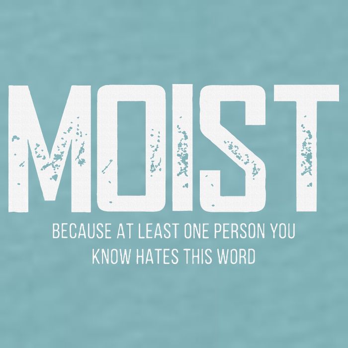 Moist Because At Least One Person You Know Hates This Word Sueded Cloud Jersey T-Shirt