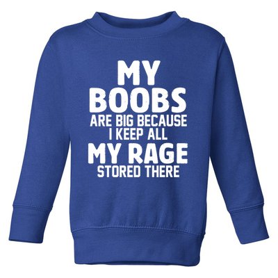 My Boobs Are Big Because I Keep All My Rage Stored There Gift Toddler Sweatshirt