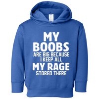 My Boobs Are Big Because I Keep All My Rage Stored There Gift Toddler Hoodie