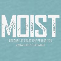 Moist Because At Least One Person You Know Hates This Word Sueded Cloud Jersey T-Shirt