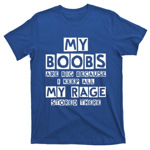 My Boobs Are Big Because I Keep All My Rage Stored There Gift T-Shirt