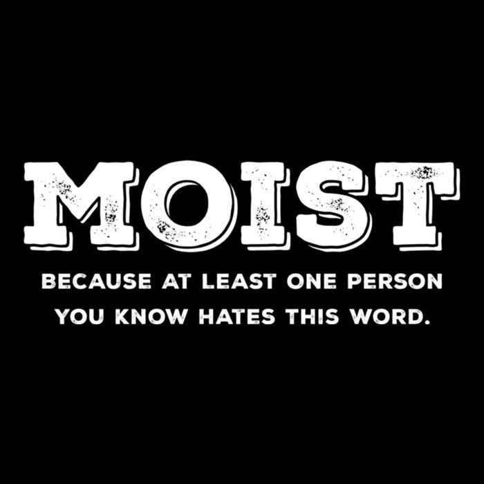 Moist Because At Least One Person You Know Hates This Word T-Shirt