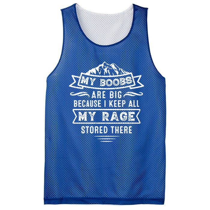 My Boobs Are Big Because I Keep All My Rage Stored There Gift Mesh Reversible Basketball Jersey Tank