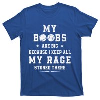 My Boobs Are Big Because I Keep All My Rage Stored There Gift T-Shirt