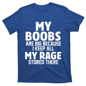 My Boobs Are Big Because I Keep All My Rage Stored There Gift T-Shirt