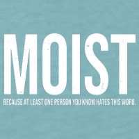 MOIST Because At Least One Person You Know Hates This Word Sueded Cloud Jersey T-Shirt