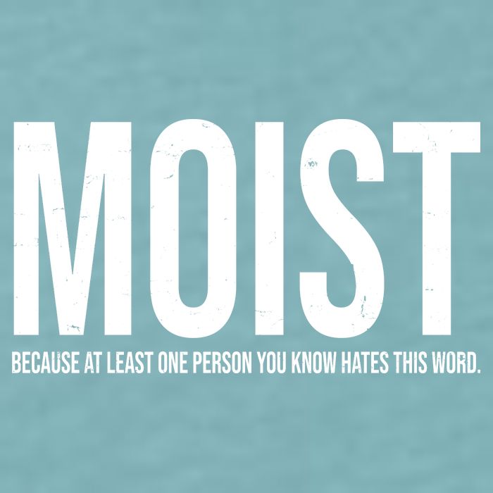 MOIST Because At Least One Person You Know Hates This Word Sueded Cloud Jersey T-Shirt