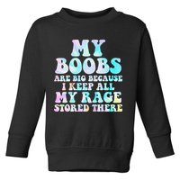 My Boobs Are Big Because I Keep All My Rage Stored There Toddler Sweatshirt
