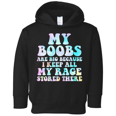 My Boobs Are Big Because I Keep All My Rage Stored There Toddler Hoodie