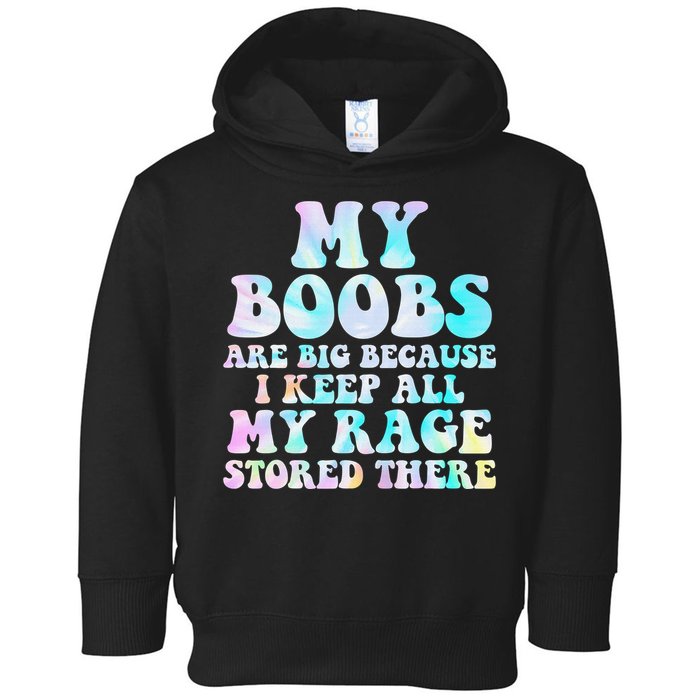 My Boobs Are Big Because I Keep All My Rage Stored There Toddler Hoodie