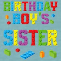 Master Builder Birthday Sister Building Bricks Blocks Sueded Cloud Jersey T-Shirt