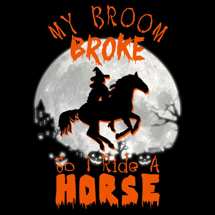 My Broom Broke So Now I Ride A Horse Magnet