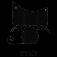 Meh Black Cat Funny Sustainable Bucket Hat