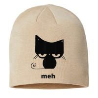 Meh Black Cat Funny Sustainable Beanie