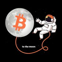 Moon Bitcoin Cryptocurrency Crypto Digital Currency 7-Panel Snapback Hat