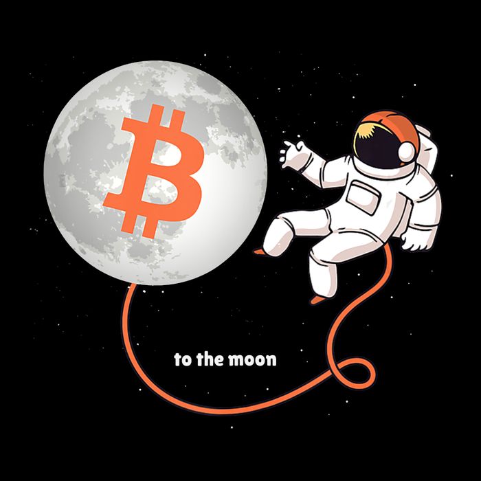 Moon Bitcoin Cryptocurrency Crypto Digital Currency 7-Panel Snapback Hat