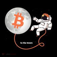 Moon Bitcoin Cryptocurrency Crypto Digital Currency Pom Pom 12in Knit Beanie