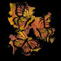 Monarch Butterfly Colourful Butterfly Magnet