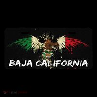 Mexicali Baja California Mexico License Plate Aesthetic Women's V-Neck T-Shirt