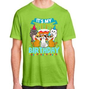 My Birthday Cat And Kitten Party Day Girl's And Boy's Adult ChromaSoft Performance T-Shirt