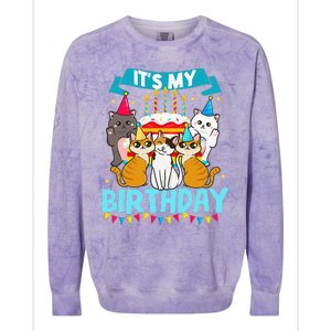 My Birthday Cat And Kitten Party Day Girl's And Boy's Colorblast Crewneck Sweatshirt