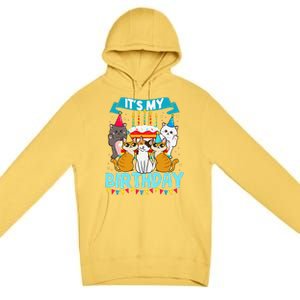 My Birthday Cat And Kitten Party Day Girl's And Boy's Premium Pullover Hoodie