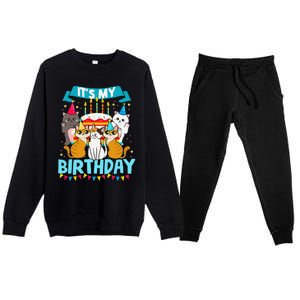 My Birthday Cat And Kitten Party Day Girl's And Boy's Premium Crewneck Sweatsuit Set