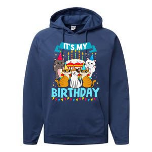 My Birthday Cat And Kitten Party Day Girl's And Boy's Performance Fleece Hoodie