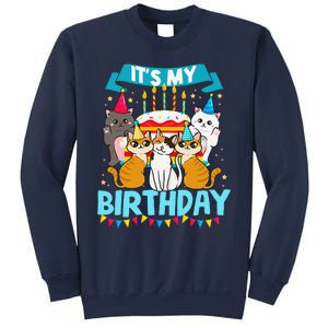 My Birthday Cat And Kitten Party Day Girl's And Boy's Sweatshirt