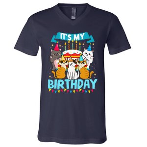 My Birthday Cat And Kitten Party Day Girl's And Boy's V-Neck T-Shirt