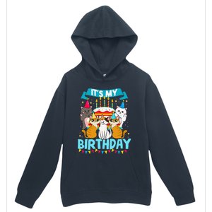 My Birthday Cat And Kitten Party Day Girl's And Boy's Urban Pullover Hoodie