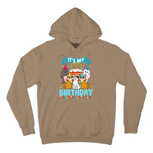 My Birthday Cat And Kitten Party Day Girl's And Boy's Hoodie