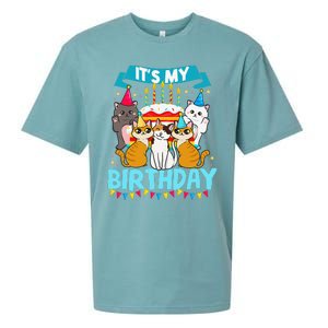 My Birthday Cat And Kitten Party Day Girl's And Boy's Sueded Cloud Jersey T-Shirt