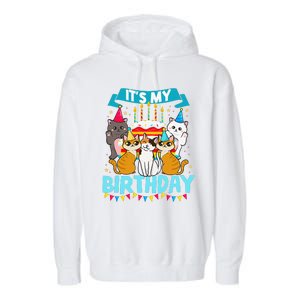 My Birthday Cat And Kitten Party Day Girl's And Boy's Garment-Dyed Fleece Hoodie